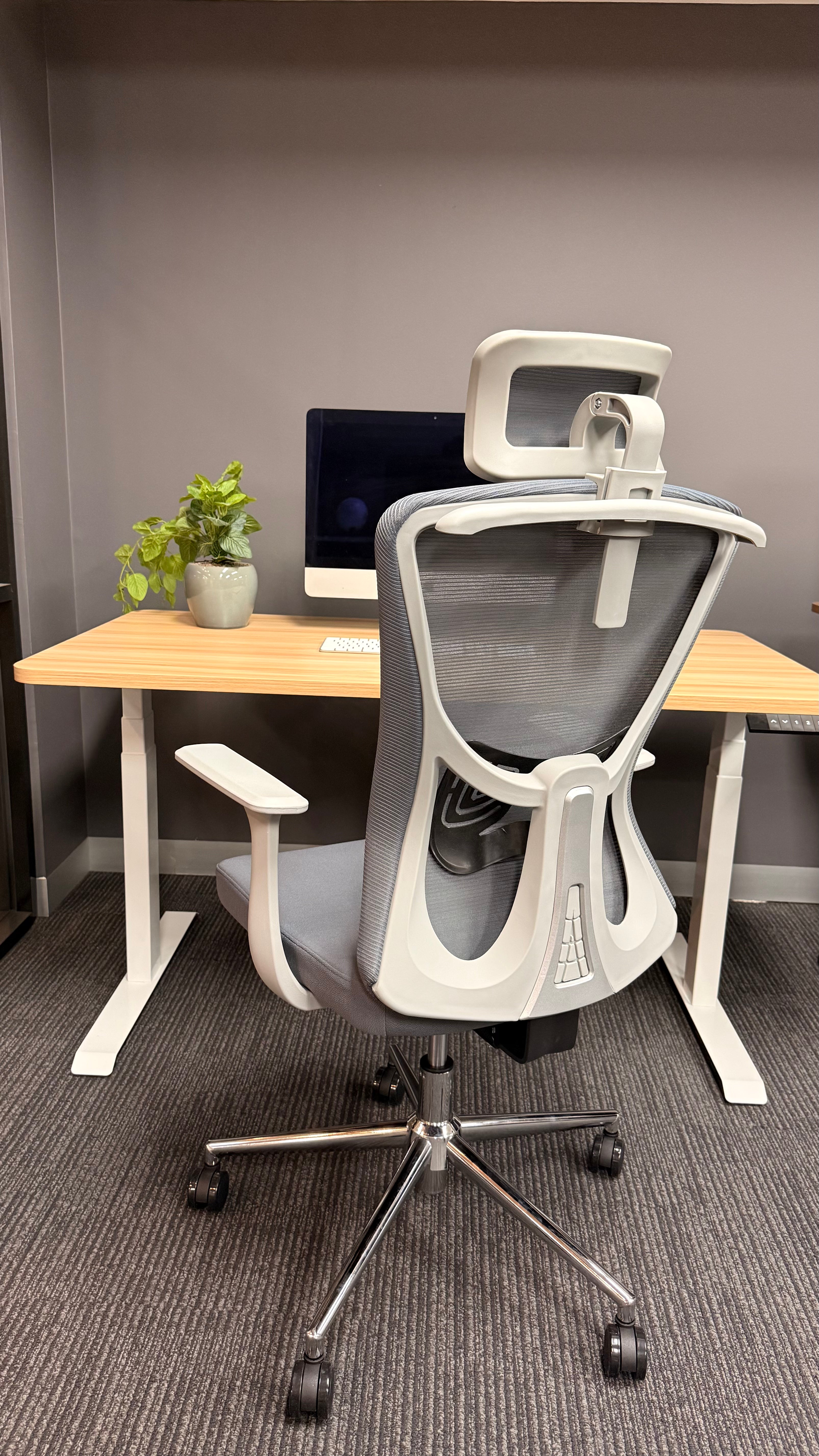 Executive Ergonomic Office Chair - 913 Grey
