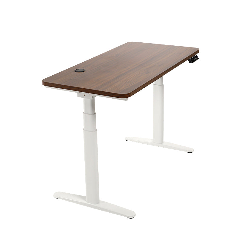 Hardwood Oval Standing Desk